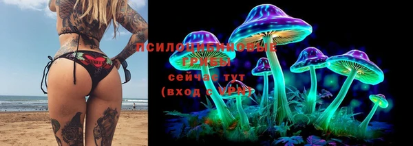спайс Магас