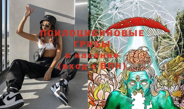 mdpv Майский