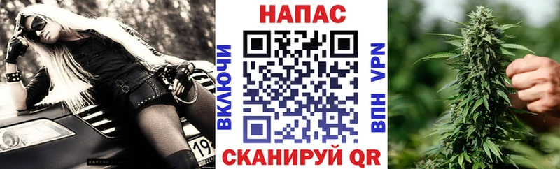 Купить закладки  Самара  Конопля MAZAR 
